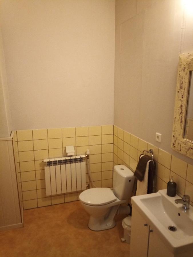 Zur Friedrichsruh Bed & Breakfast Oelsnitz  Eksteriør bilde