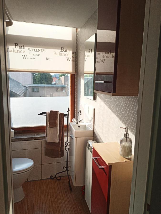 Zur Friedrichsruh Bed & Breakfast Oelsnitz  Eksteriør bilde