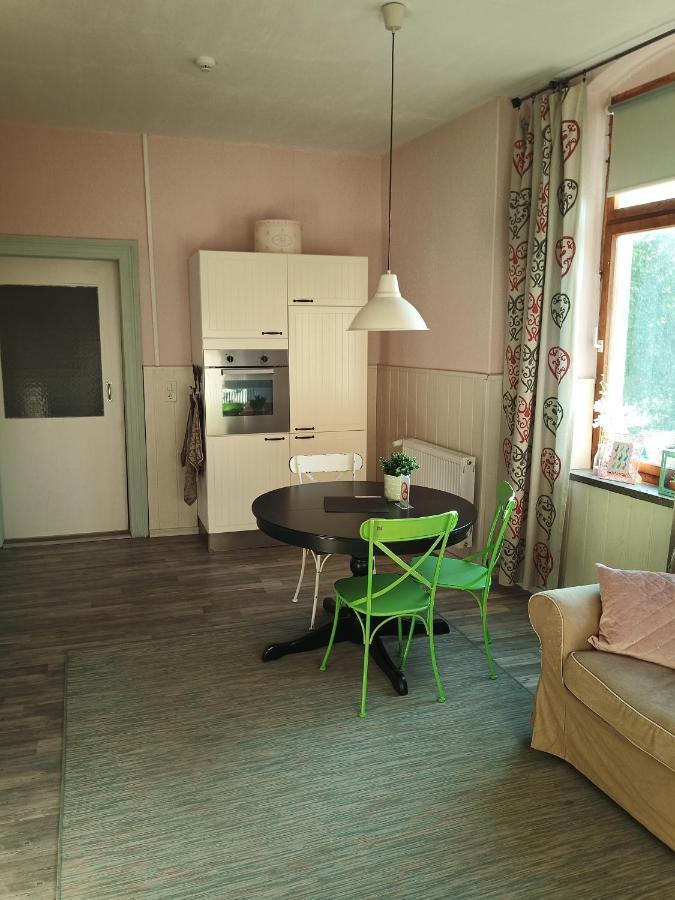 Zur Friedrichsruh Bed & Breakfast Oelsnitz  Eksteriør bilde